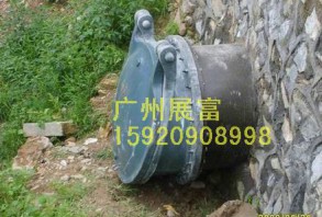 DLH44X-6FRP拍门
